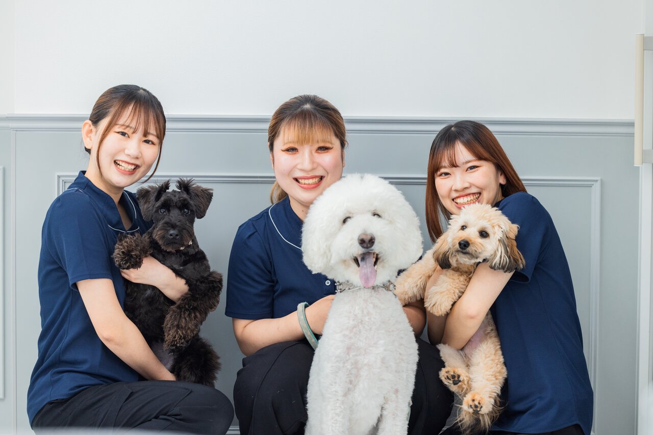 【読者限定割引券あり】今年４月にオープン！大阪市北区のシティドッグリゾート「Dyplus OSAKA KITA」 