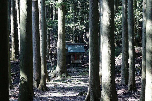 夏を涼しく過ごす怖い旅、”心霊・魔所”と言われる滋賀のスポット3選