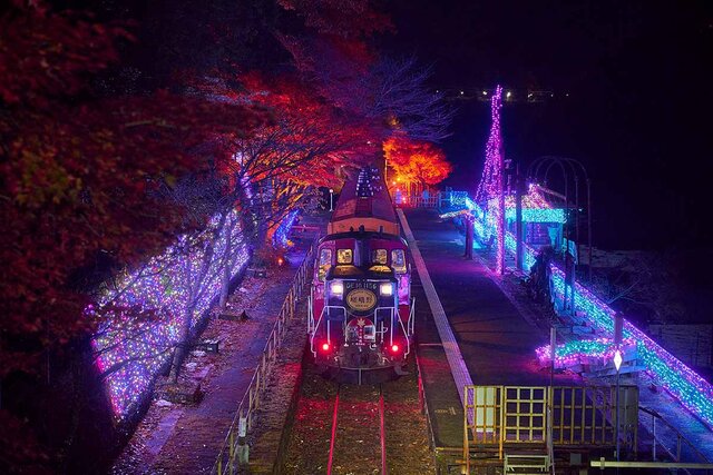 ゴトゴト移動で風を感じる紅葉ライトアップ、トロッコ列車で体感する京都・保津峡の自然へ
