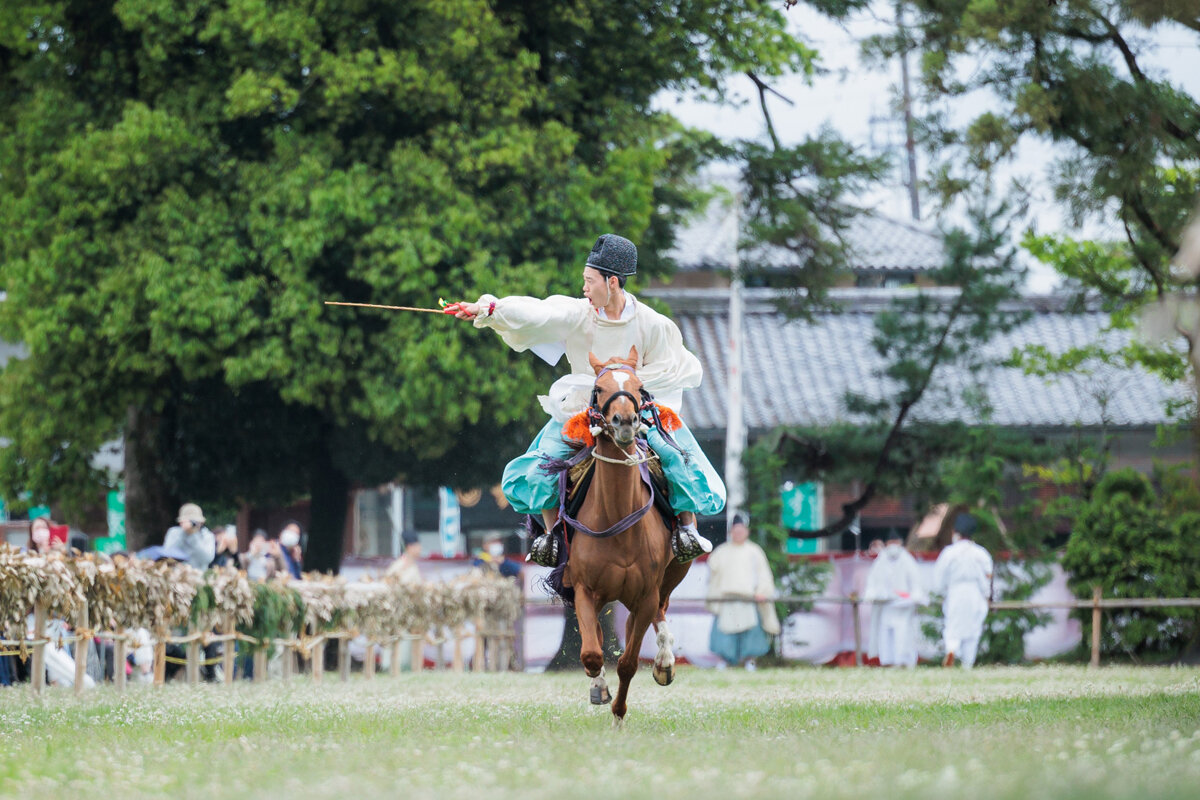 2026年の“午（うま）年”は、「勝負運」をアップ！ 馬にまつわる関西の神社5選