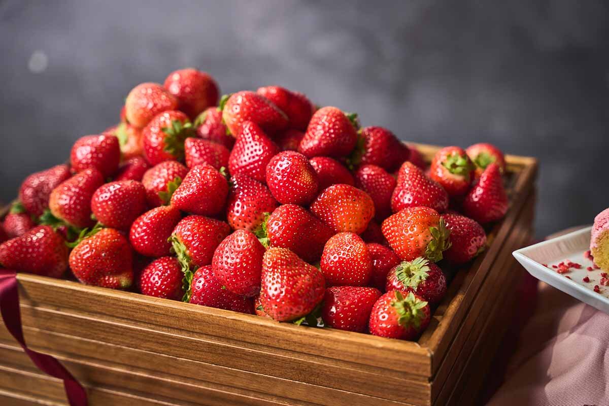 高級いちご「あまおう」とタイ料理が食べ放題の至福、大阪・なんばのホテルで新春からスタート