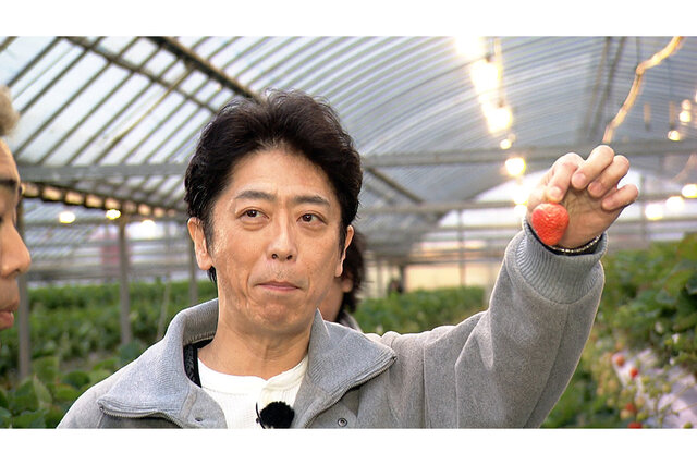 【福岡・糸島】「糸島イチゴ園」で「あまおう」食べ放題＆ぜいたくスイーツを満喫、レア品種の「天使のいちご」「真紅の美鈴」も【フットマップ】 