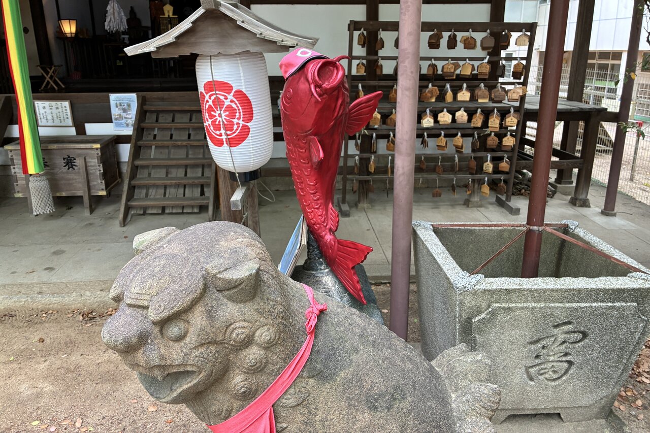 まだ間に合う！豊田アナも立ち止まった今しか見られない「恋」より「コイ」な五月景色