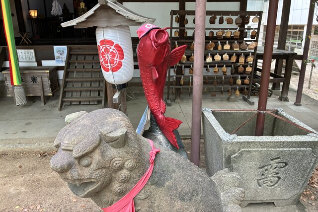 まだ間に合う！豊田アナも立ち止まった今しか見られない「恋」より「コイ」な五月景色
