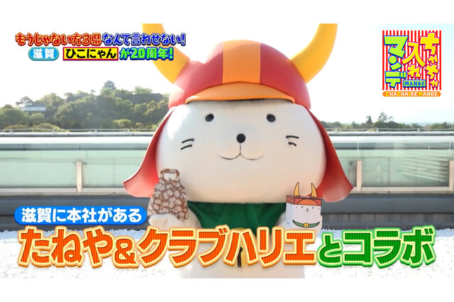 【滋賀】「ひこにゃん」誕生20周年企画が盛りだくさん、映えスポット「メタセコイア並木」沿いに“馬の森”【ちゃちゃ入れマンデー】