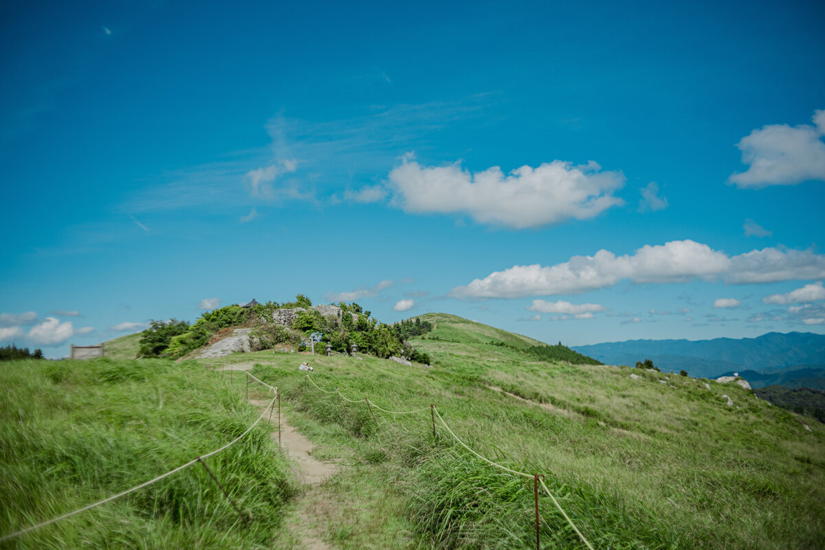 【和歌山観光・2026年最新】鮮やかな青もみじに癒やされたい、和歌山の新緑スポット4選