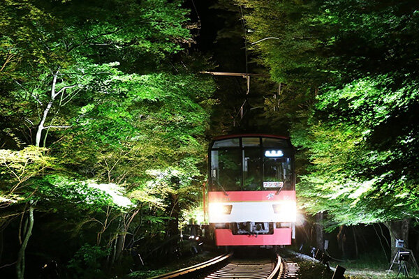 【京都】貴船・鞍馬で幻想的な夜景を楽しむ、叡山電車恒例の「青もみじのライトアップ」が期間限定で開催