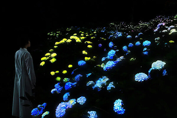 【大阪・長居公園】夜の植物園が光り輝く！チームラボの初夏限定アート「あじさいの結晶」が初公開