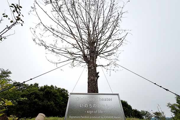 大阪・泉佐野へ大阪・関西万博のイチョウの木が移植、市長からの打診で実現した“完全な形” で移築される唯一のシグネチャーパビリオン
