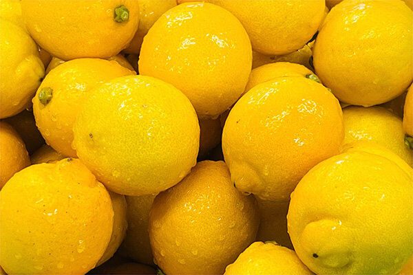 【京都】「レモン」ブーム到来！ 心ときめく夏の甘酸っぱさ。老舗の涼菓から純喫茶ゼリーまで、絶品レモンスイーツ4選