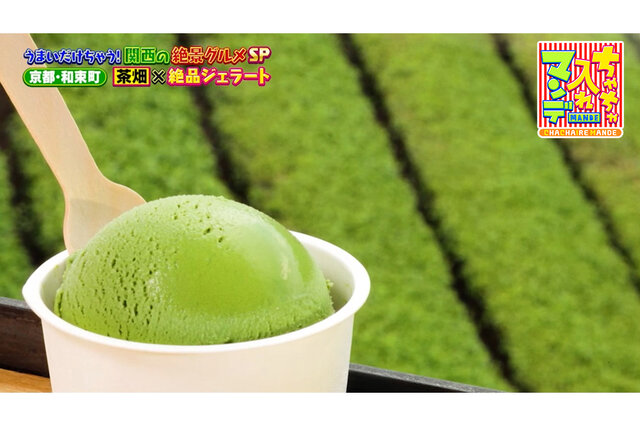 茶畑を眺めて抹茶ジェラート、巨大水槽を眺めてパンケーキ！京都の絶景グルメ【ちゃちゃ入れマンデー】