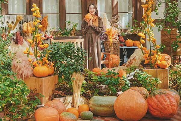 【神戸・布引ハーブ園】約300個のカボチャが迎える「ハロウィンフェア」、ヨーロッパの秋を感じる絶景フォトスポットに