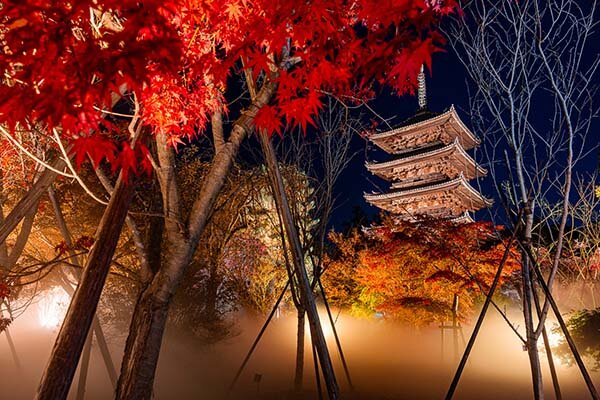 【京都ライトアップ・2026年最新】秋の風物詩、京都の観光スポットで光の祭典・4選