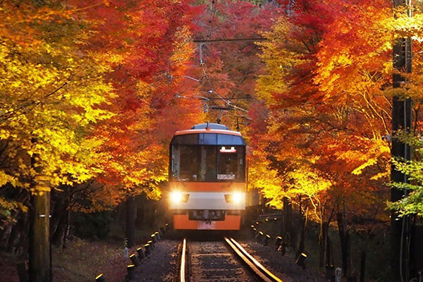 【京都】叡山電車「もみじのトンネル」区間で紅葉狩り、1日1本限定の「ライトアップ特別列車」も運行