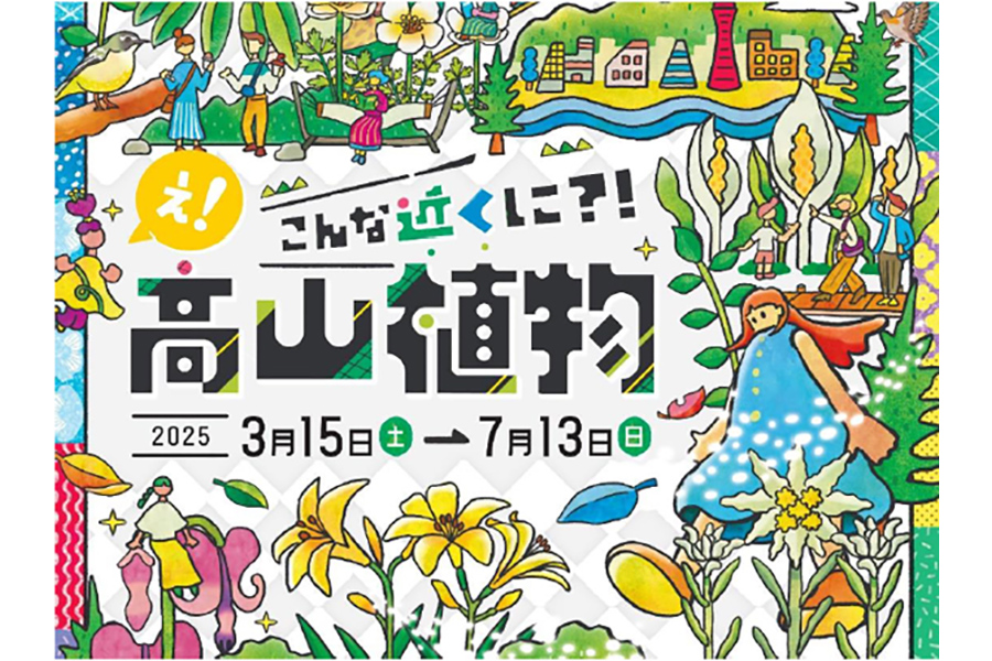 7月13日（日）まで開催中のイベント『え！こんな近くに？！高山植物』