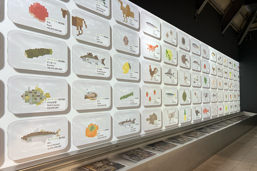 シグニチャーパビリオン「EARTH MART」展示の様子（2025年撮影／大阪・関西万博）