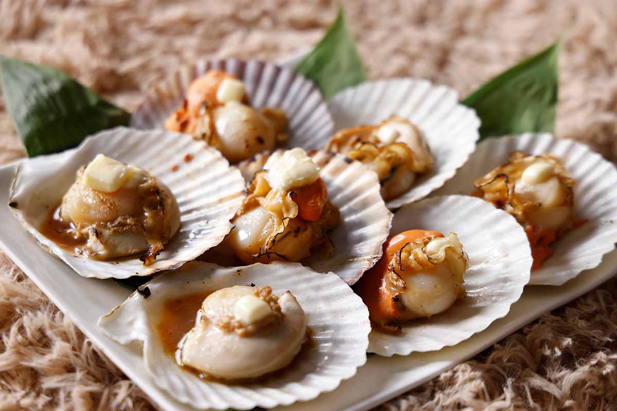 北海道産殻付き帆立貝の焦がしバター醤油（ディナー）