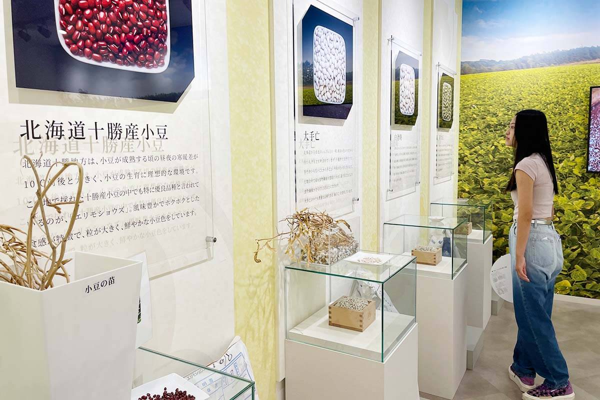 月化粧をはじめとする松風庵のお菓子で使われる豆を紹介
