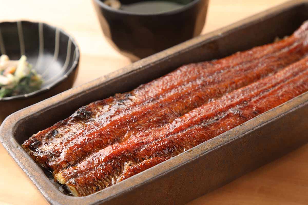 昭和七年創業。老舗鰻卸問屋が営む「うなぎ四代目菊川」