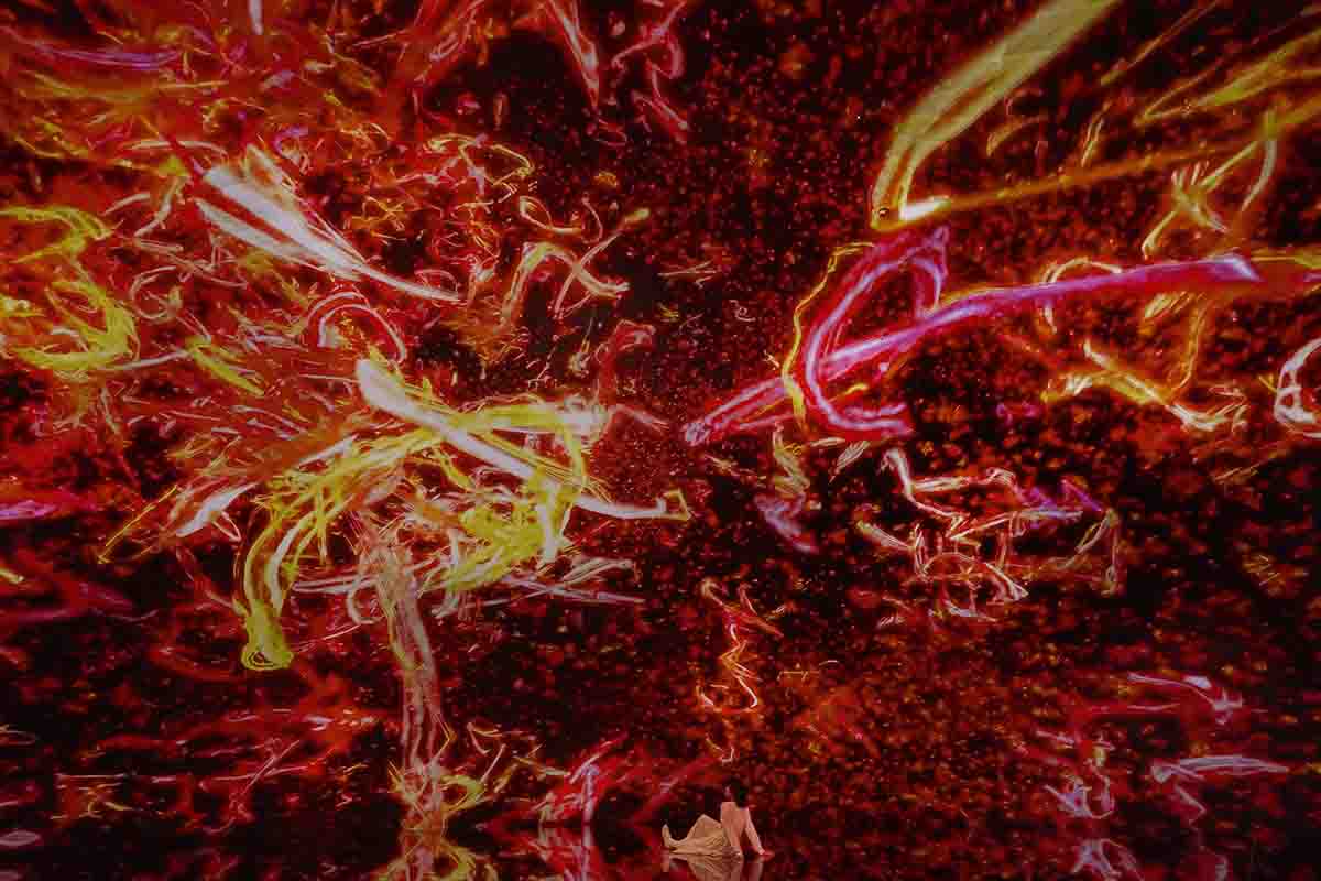 チームラボ《The Eternal Universe of Words》© チームラボ