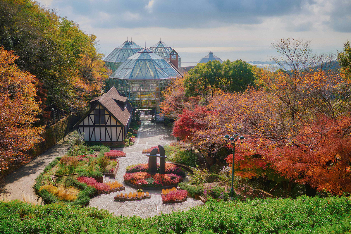 グラスハウス(温室)周辺に広がる「布引の紅葉」(提供写真)
