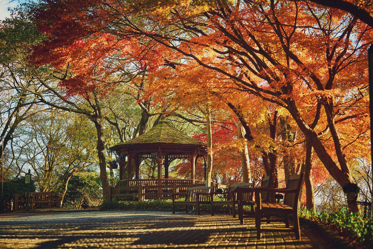 「神戸布引ハーブ園」小径に佇む東屋周辺(提供写真)