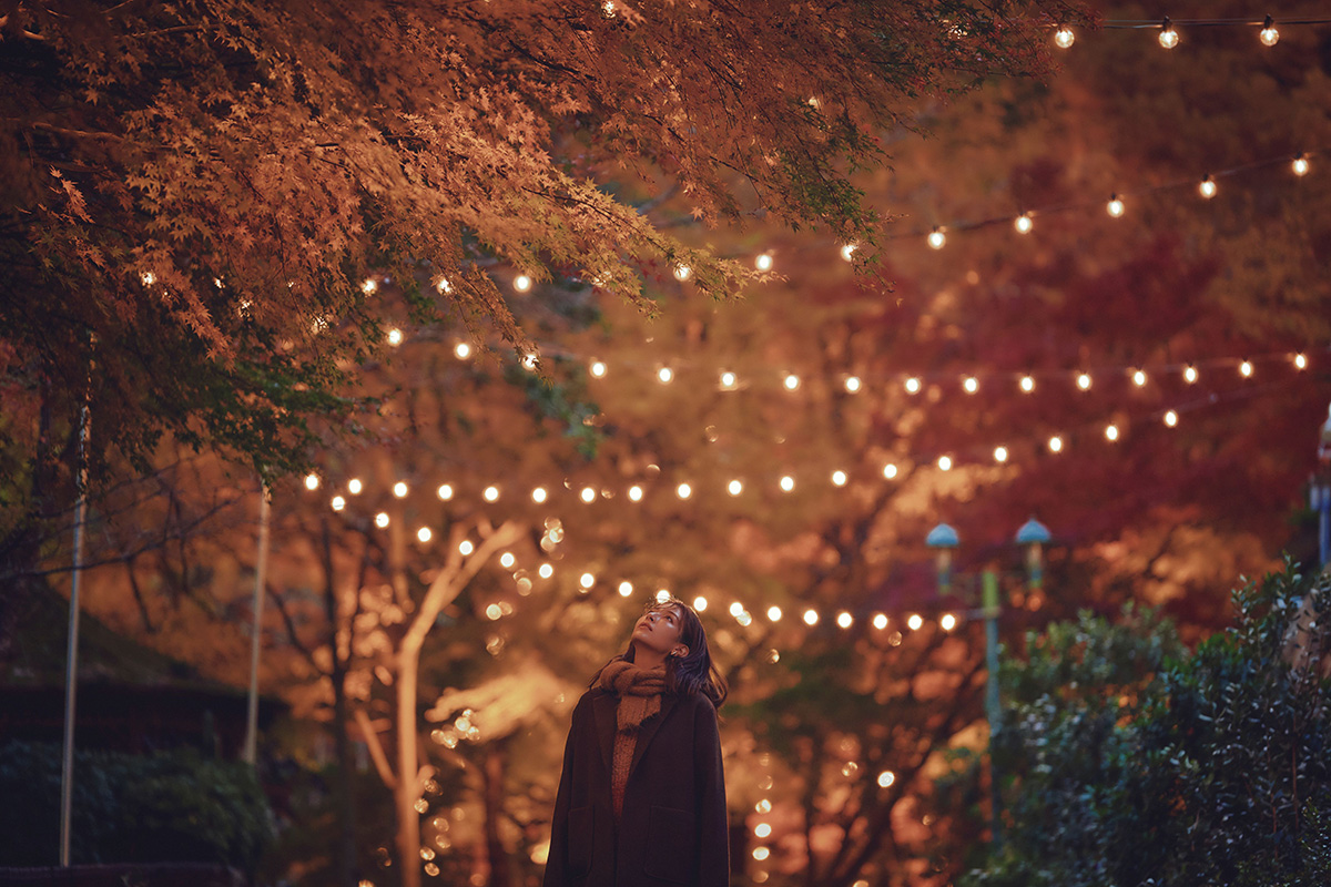 「布引の紅葉」のライトアップとクリスマスイルミネーションの「光の回廊」(提供写真)