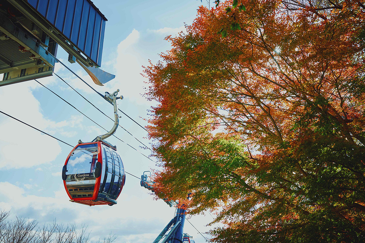 四季折々の景色が楽しめる、「神⼾布引ハーブ園」を結ぶロープウェイ(提供写真)