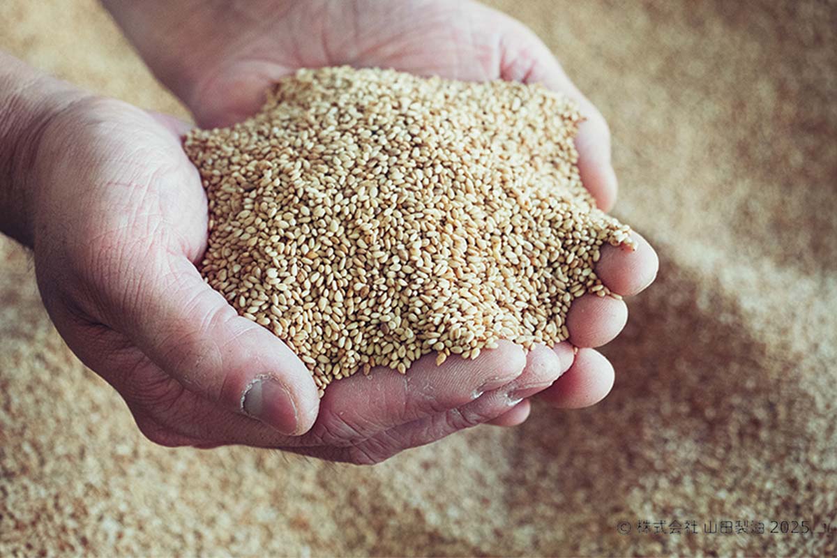 焙煎途中に数秒単位で大きく変わるごまの状態を見極めているといいます