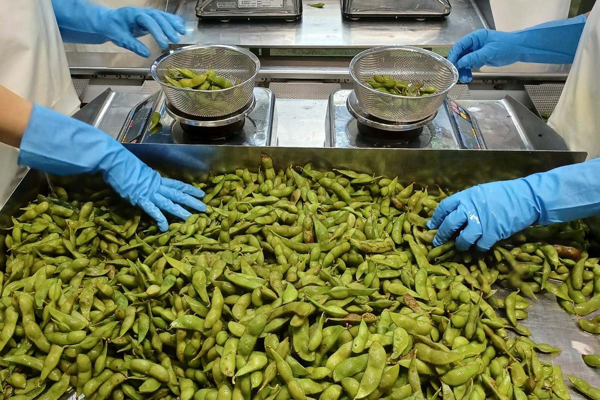 枝豆の計量作業