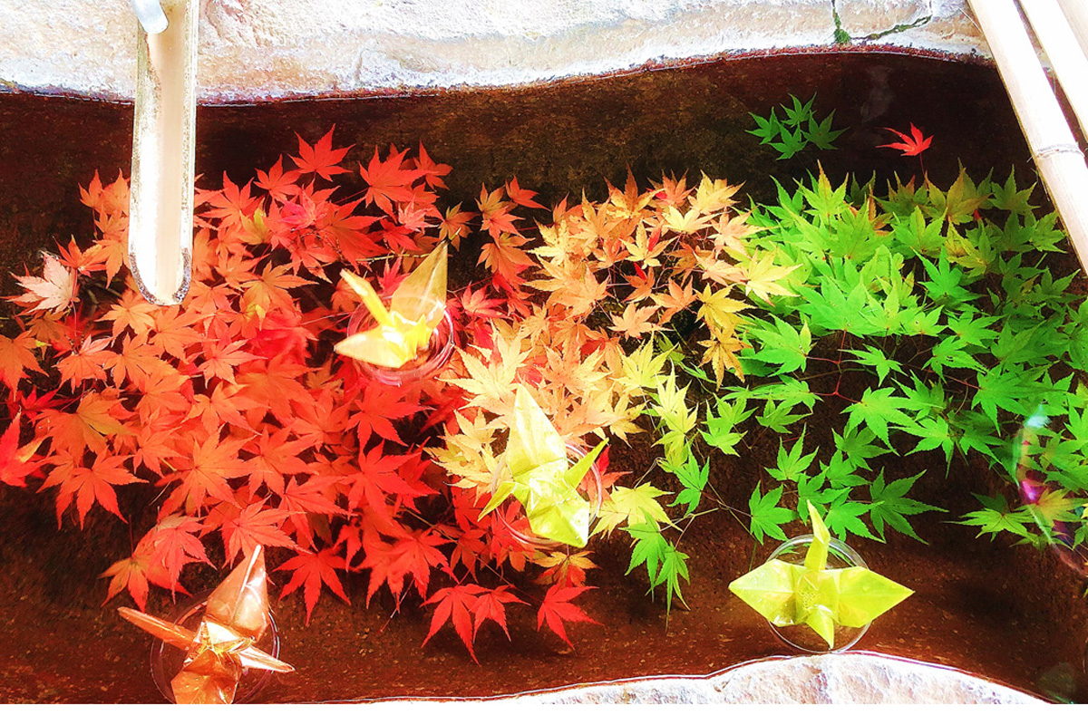 「吉野神宮」（奈良県吉野町）紅葉の時期の『鶴の手水舎』