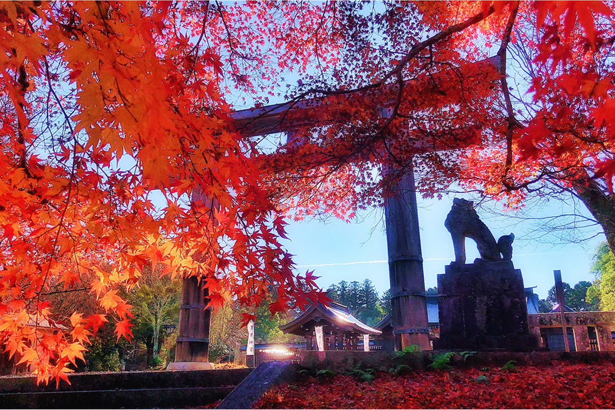 「吉野神宮」（奈良県吉野町）の紅葉