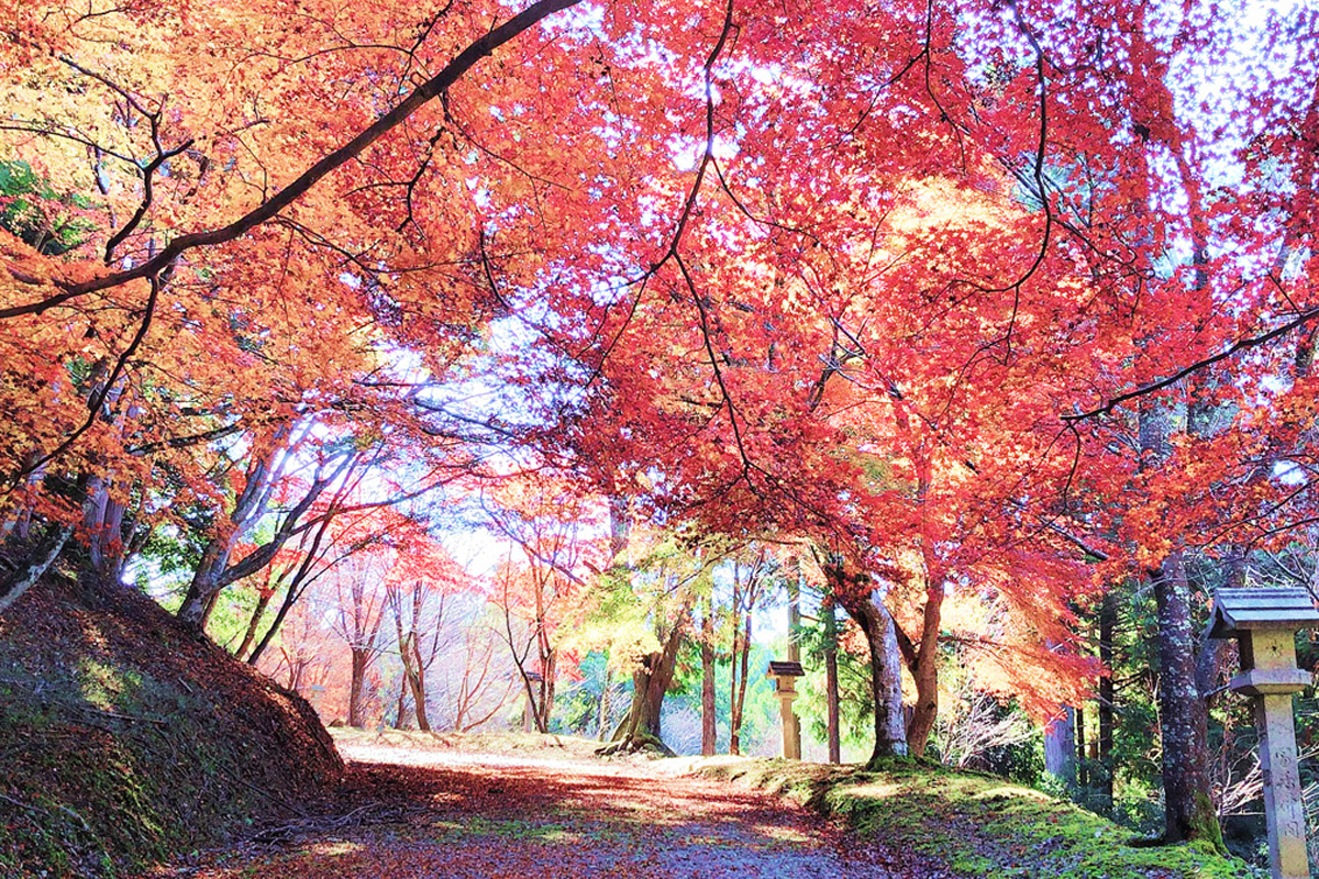 「吉野神宮」（奈良県吉野町）の紅葉