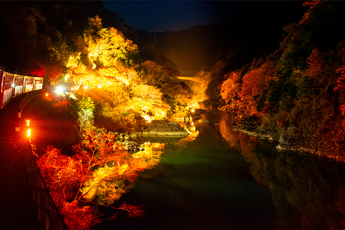 京都「嵯峨野トロッコ列車」の幻想的なライトアップ（提供写真）