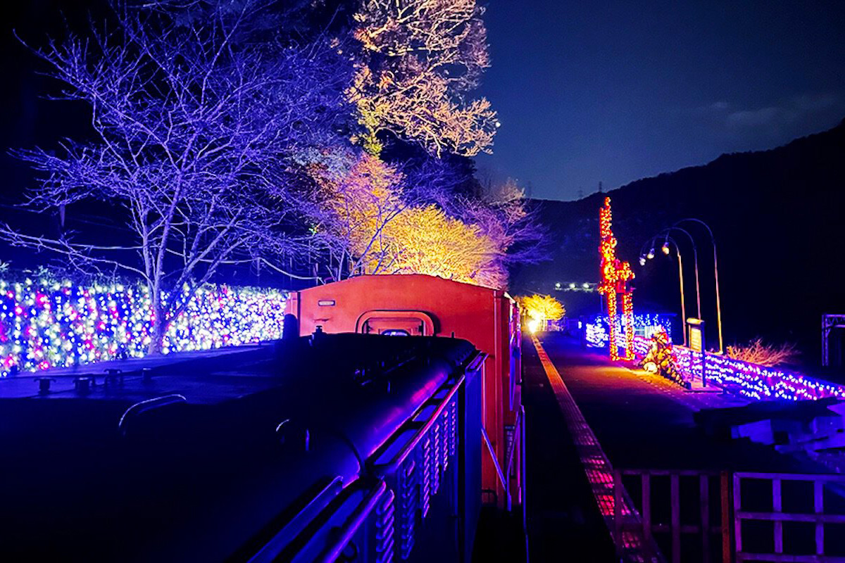 まるで絵本の中に迷い込んだような、京都「嵯峨野トロッコ列車」の幻想的なライトアップ（提供写真）