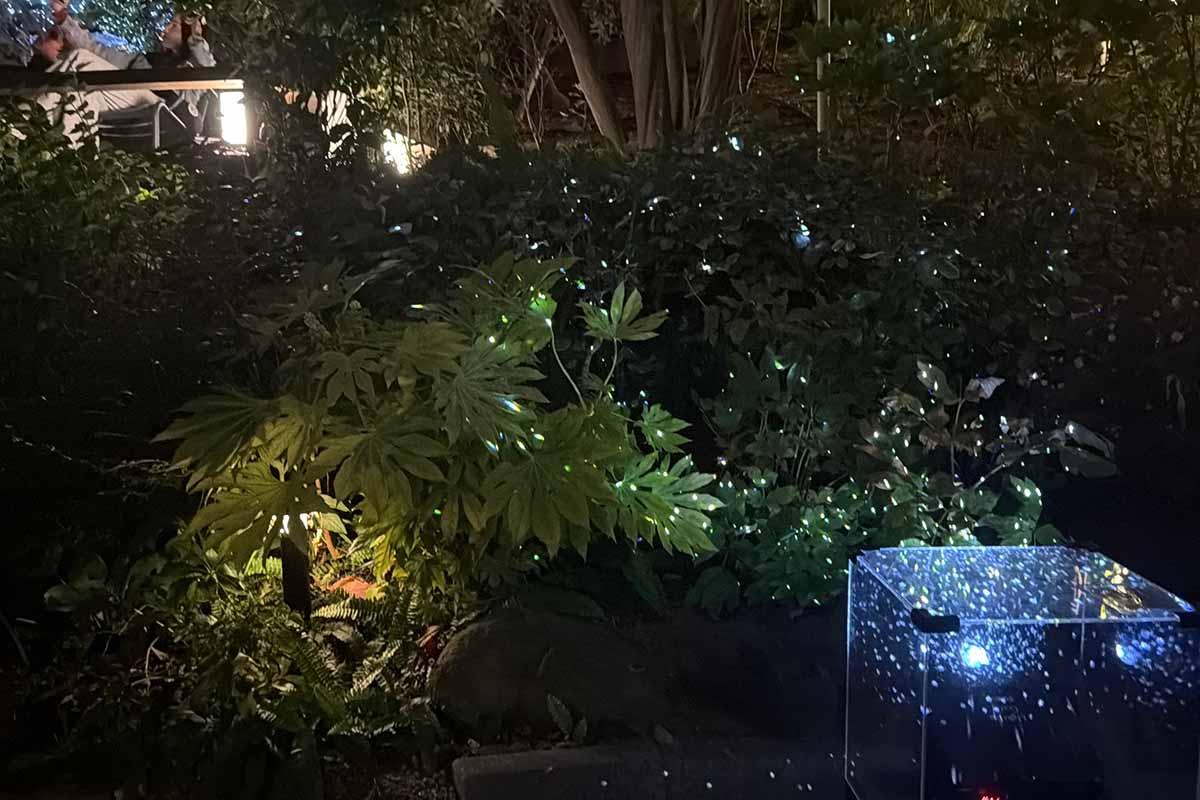 なんばパークス2階エントランスから上層階に上がっていく途中にも撮影スポットがたくさん