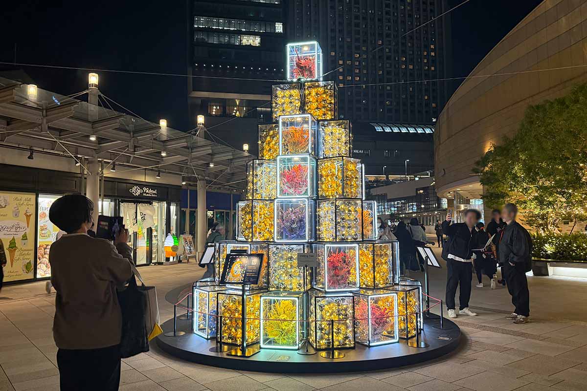 なんばパークス2階のARスポット「シャイニングツリー」