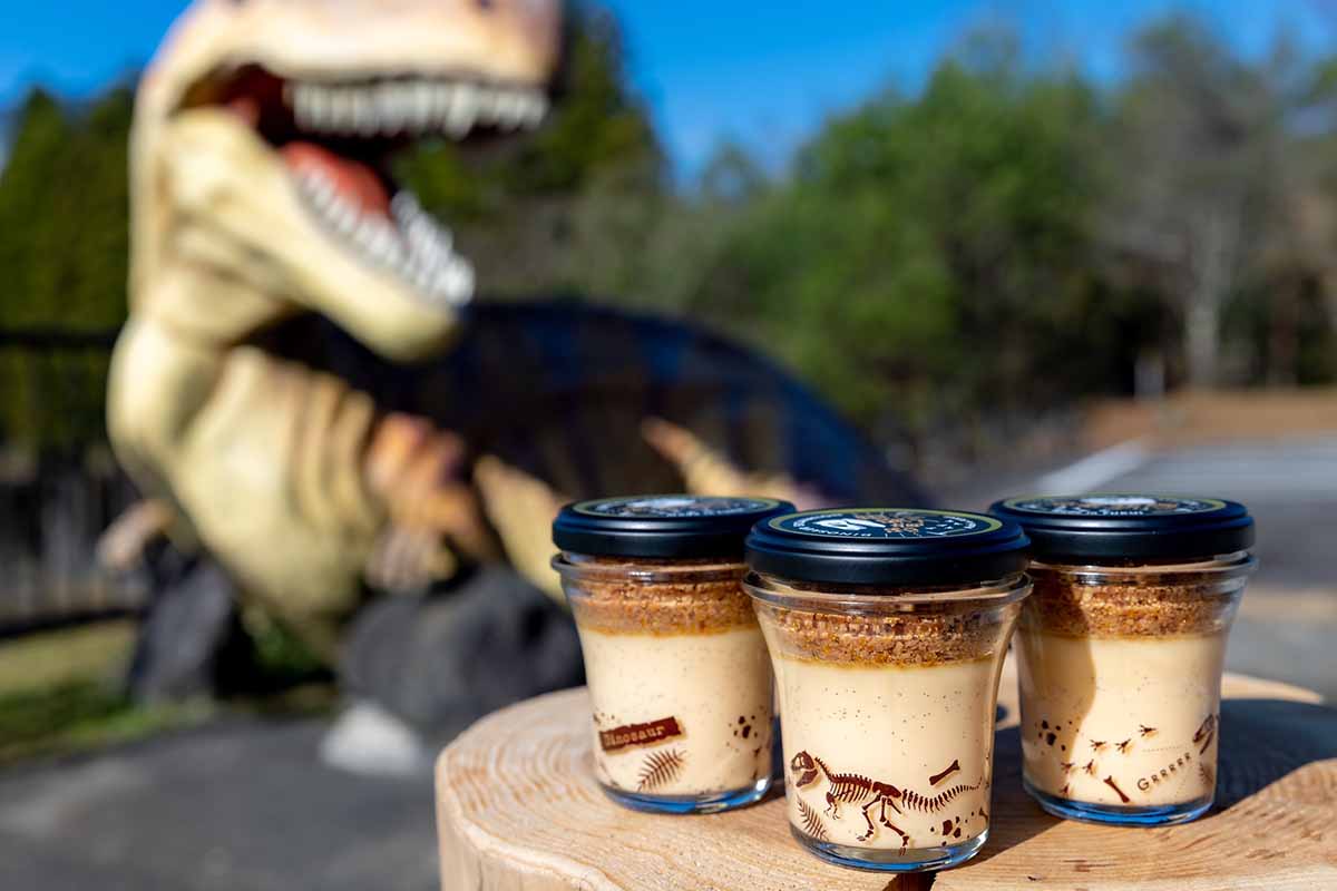 福井県「恐竜発掘プリン」（1日50個限定）は、1億年前の化石をイメージして“恐竜チョコ”が隠されたプリン。チョコは全11種類