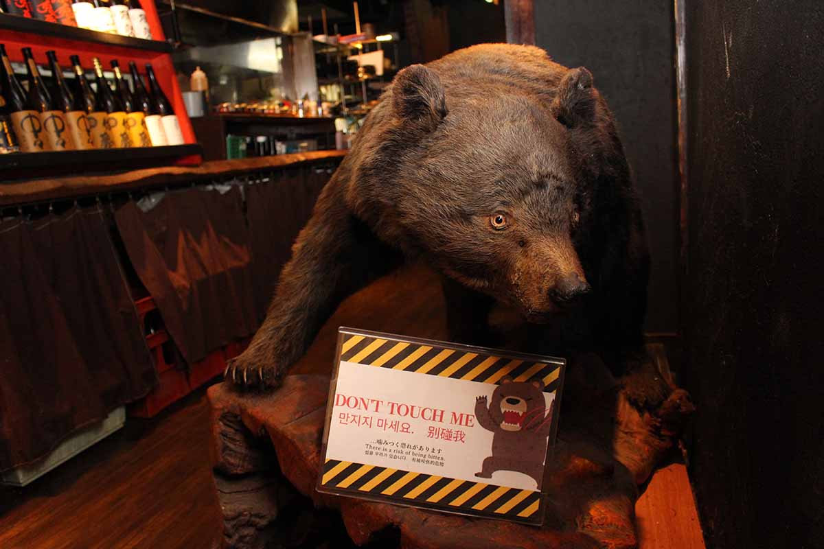山小屋をイメージした「山小屋居酒屋SUMIKA」の店内には熊の剥製も鎮座
