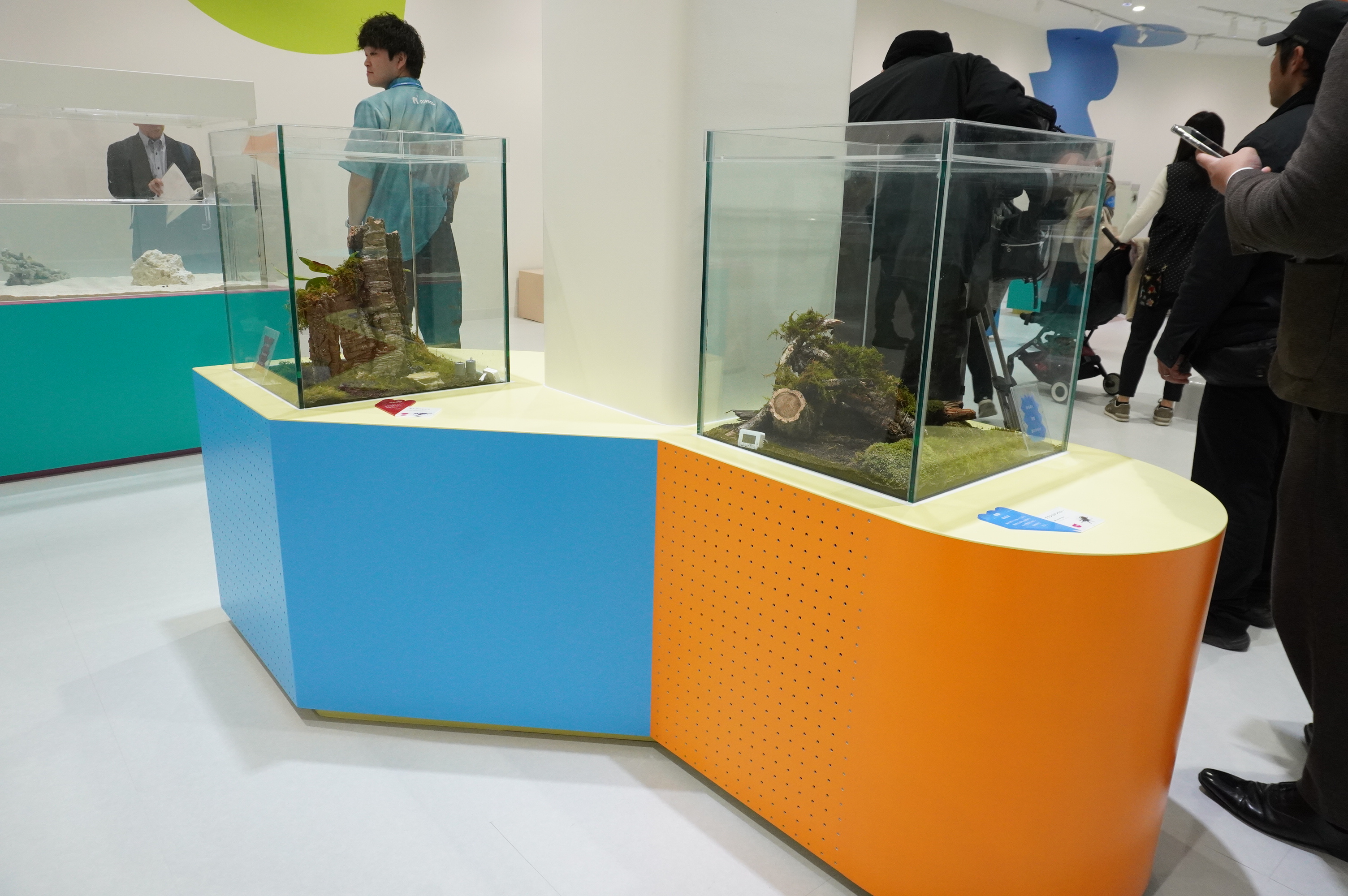 カラフルな水槽がたくさん並ぶエリア内