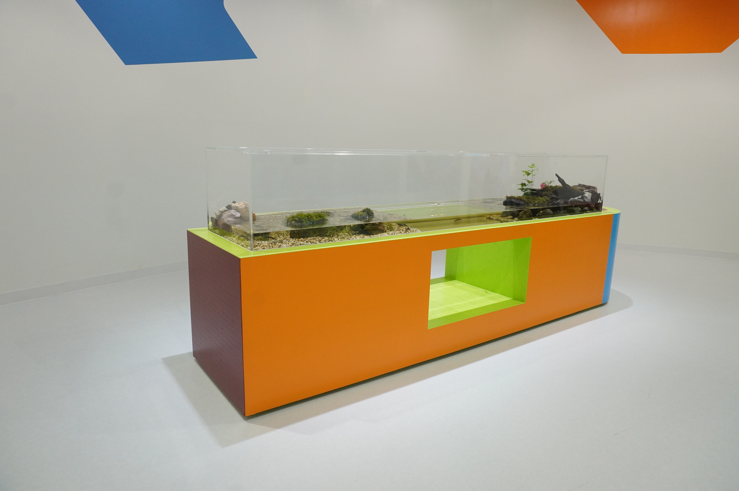 カラフルな水槽がたくさん並ぶエリア内