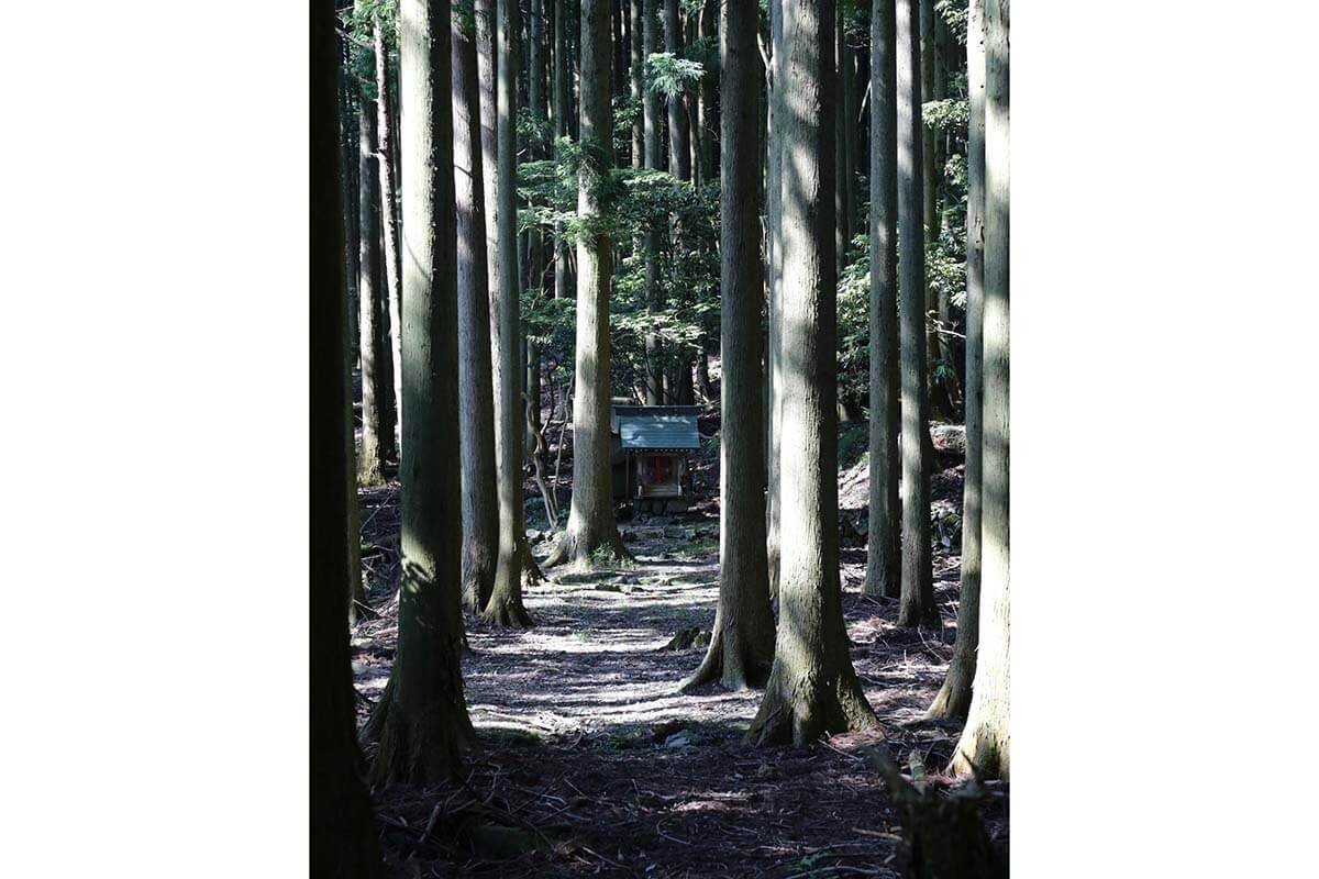 琵琶湖に沈んだとされる村の記録が残る社