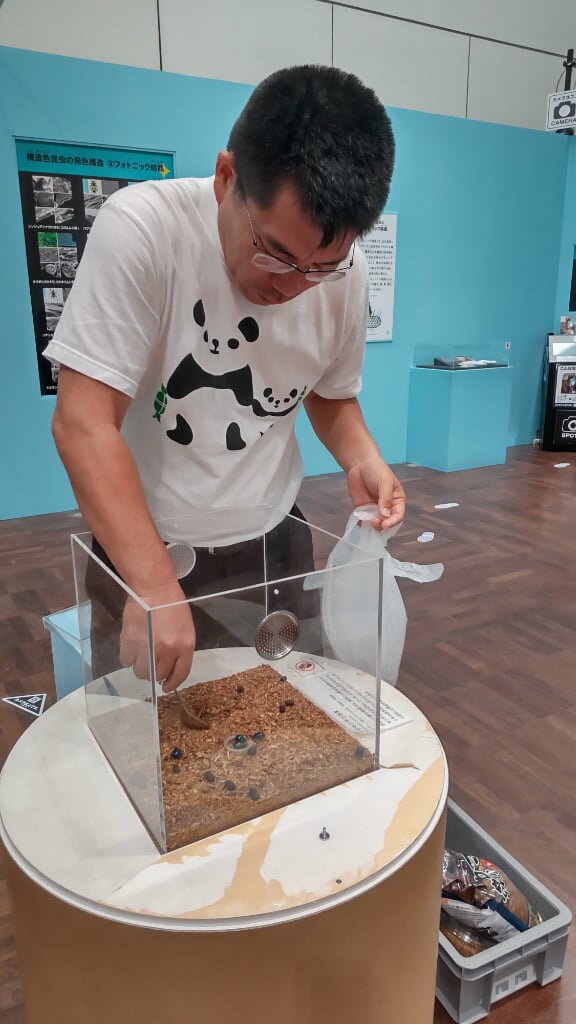 昆虫MANIACを担当する松本吏樹郎学芸員（大阪市立自然史博物館）
