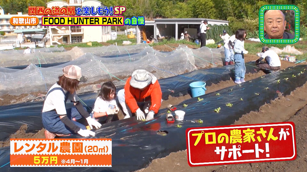 『ちゃちゃ入れマンデー』（10月14日OA）和歌山市「道の駅 四季の郷公園 FOOD HUNTER PARK」農業体験