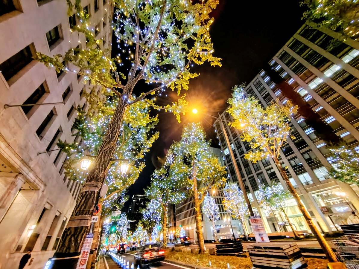 大阪の夜を美しく幻想的に輝かせる「御堂筋イルミネーション」（11月３日撮影）