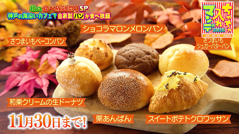 『ちゃちゃ入れマンデー』（11月4日OA）