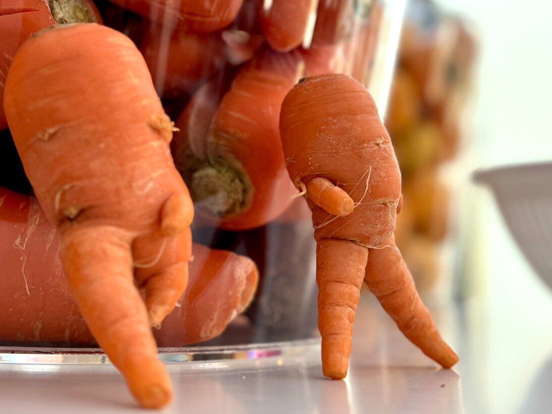 カンテレSDGsフェスタwithミライーね！（2025年11月8日）