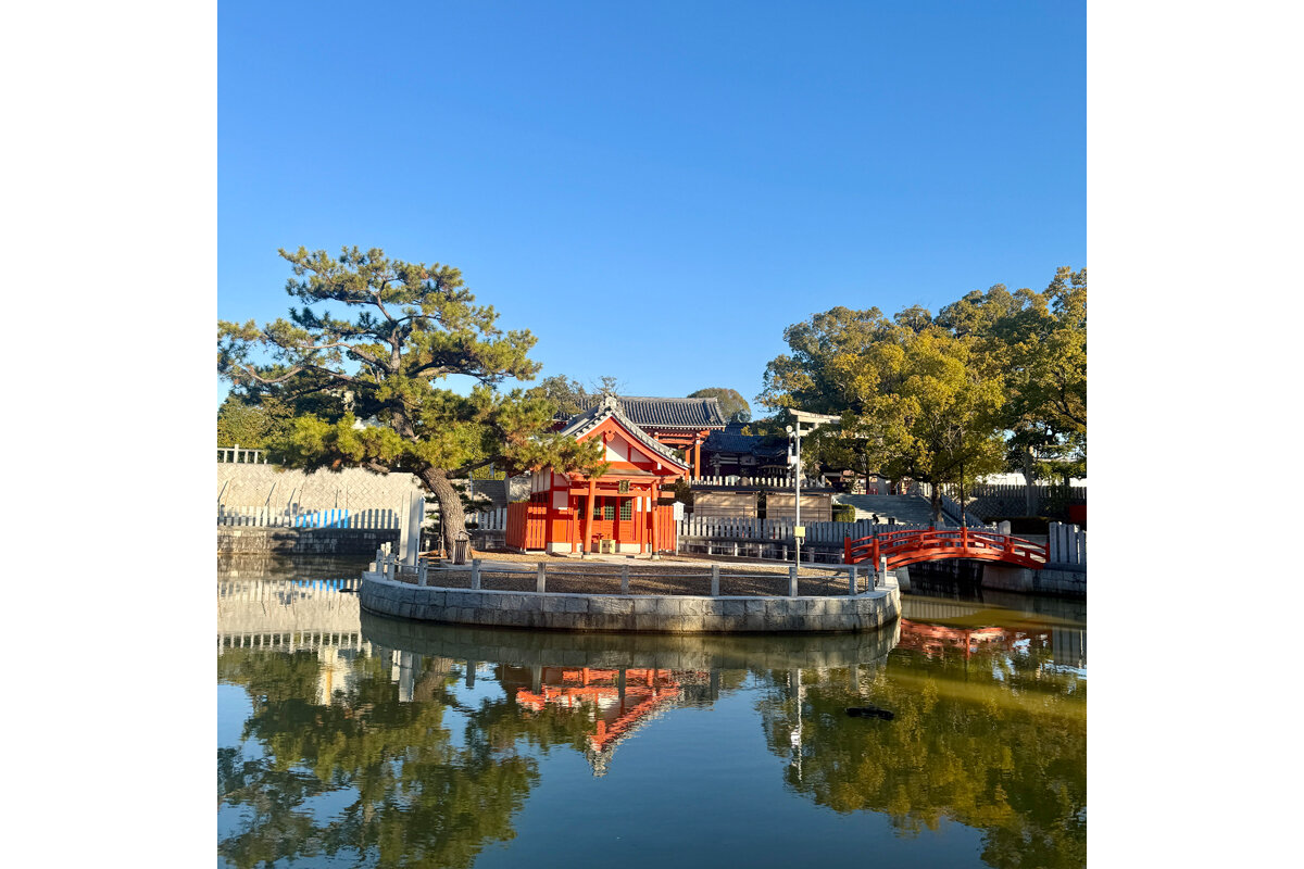 「百舌鳥八幡宮」（堺市北区）の蓮池に映る弁天社