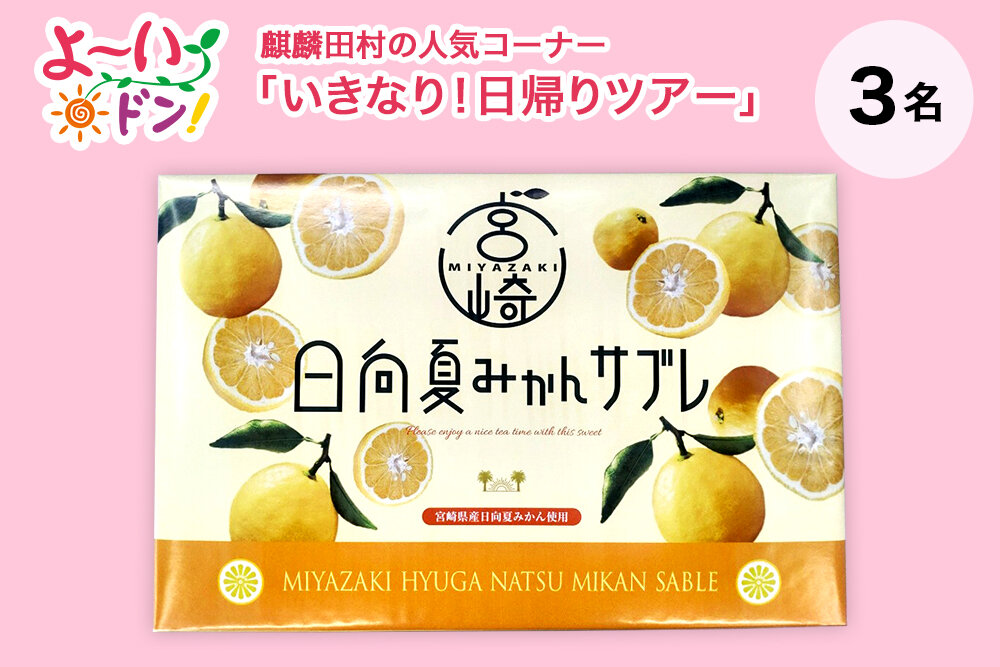 『よ～いドン！』麒麟・田村の人気コーナー 「いきなり！日帰りツアー」 1月6日放送 宮崎県のお土産 「日向夏みかんサブレ」