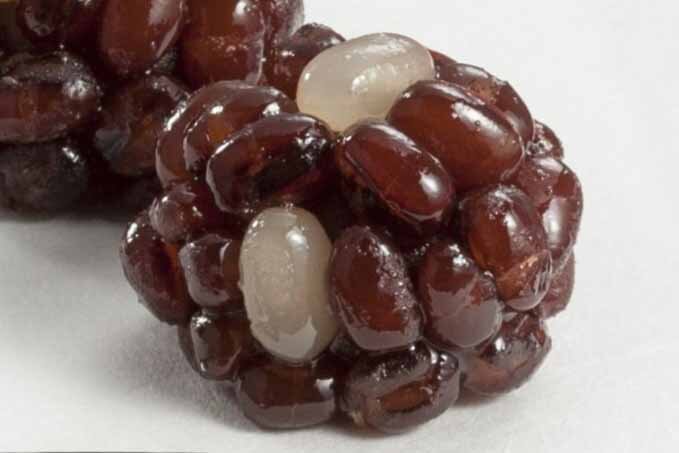 お茶との相性も良く、節分のひとときを穏やかに彩る「かのこ」